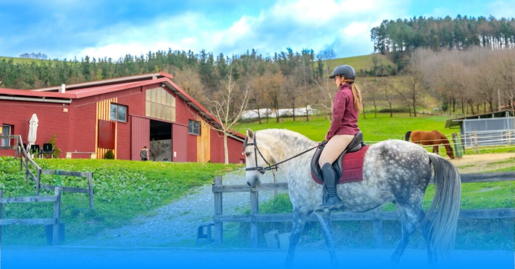 Koli Equestrian Center