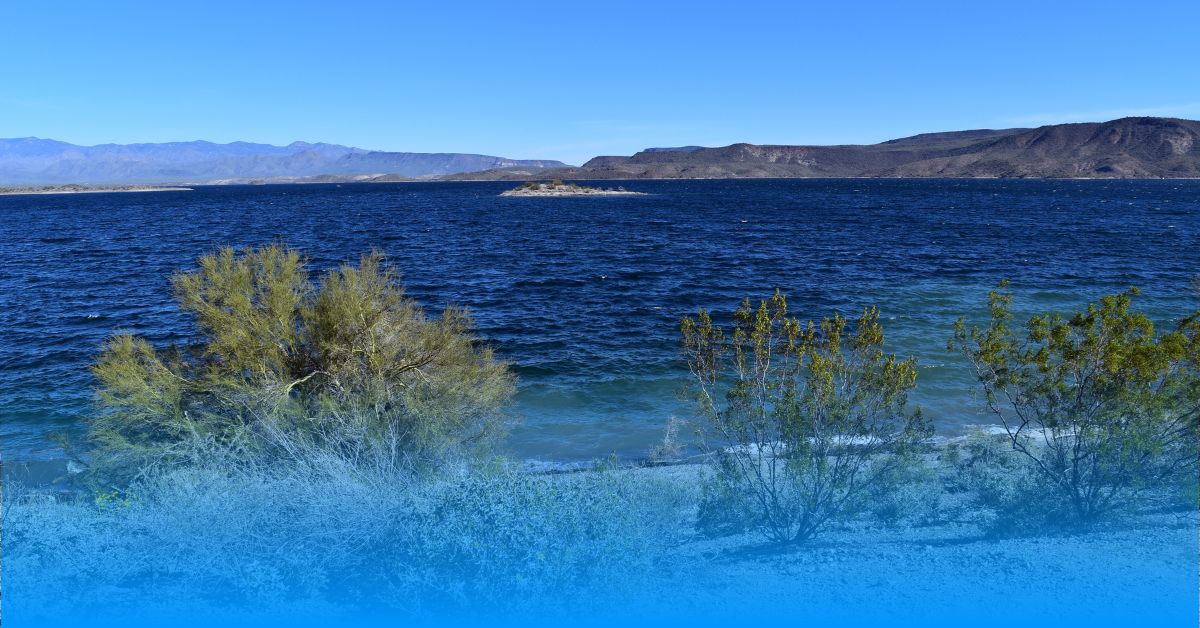 Lake Pleasant in Arizona