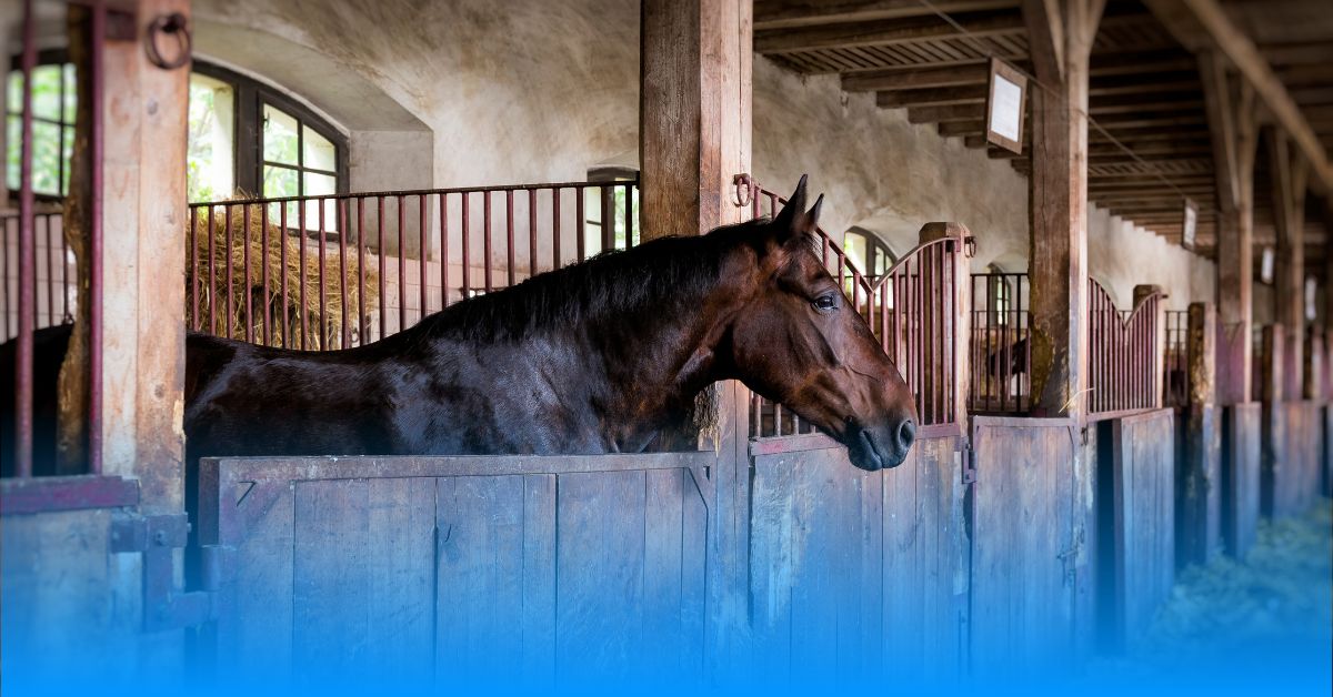 Ponderosa Stables