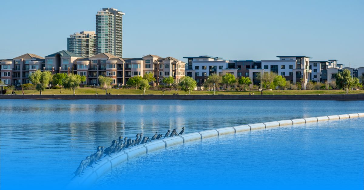 Tempe Town Lake