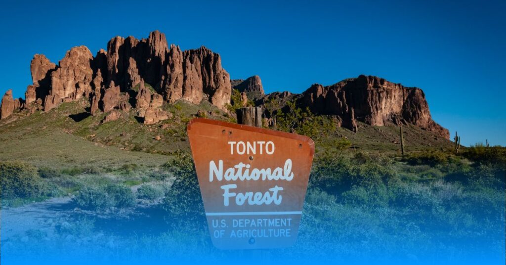 Tonto National Forest