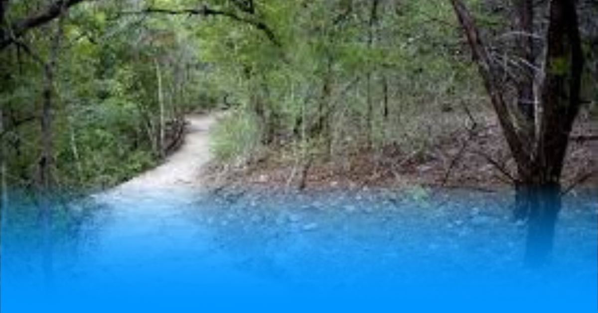 Discover Top 6 Hiking Trails In Austin Through Pacaya