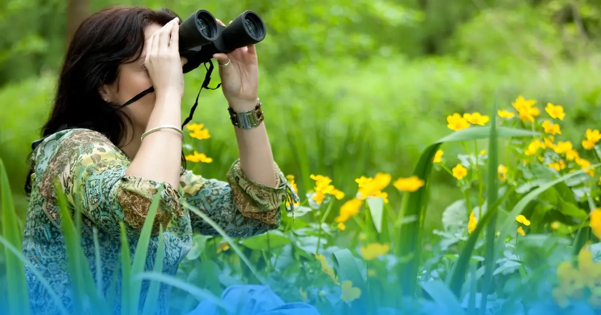 Birdwatching in Austin