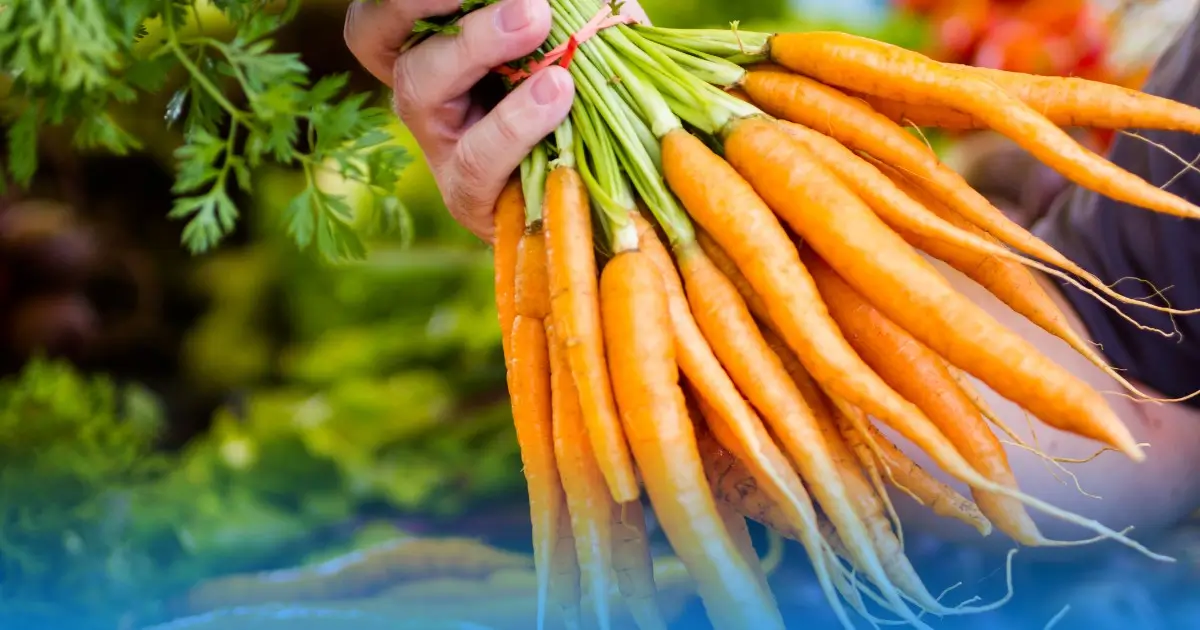 Farmers Markets In Austin 2