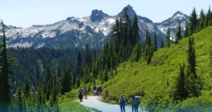 Hiking The Trails At Mount Rainier